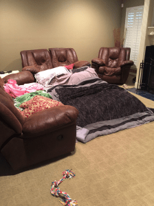 13243944_10156941787855284_1097530636010809418_o